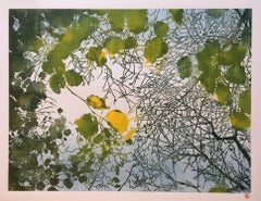 Susan Noble, Shinrin-yoku I (version 1), Affordable Art, Limited Edition Print