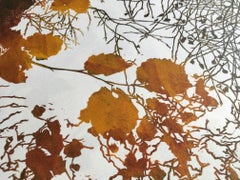 Susan Noble,  Shinrin-yoku I, version 2, Affordable Art, Contemporary  Art