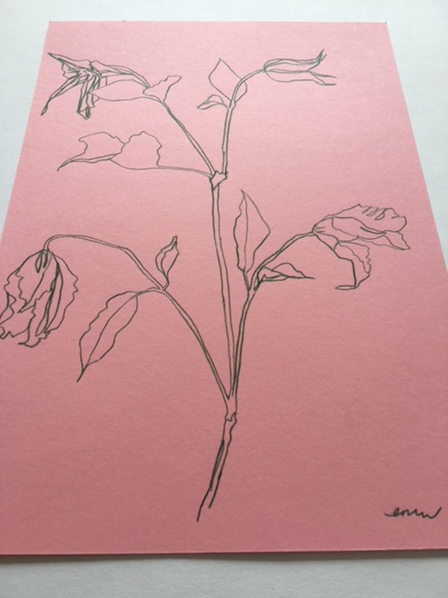 Ellen Williams, Clematis I, Originalzeichnung, Erschwingliche Kunst, Blumenkunst im Angebot 2