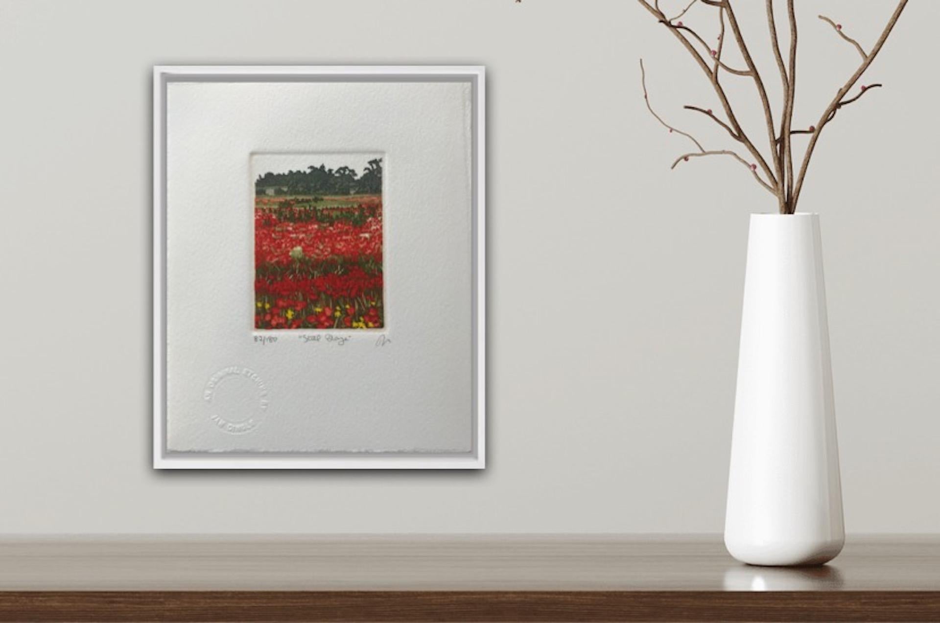 Jan Dingle, Still Blaze, Limited Edition Etching Print, Landscape Art,  For Sale 1