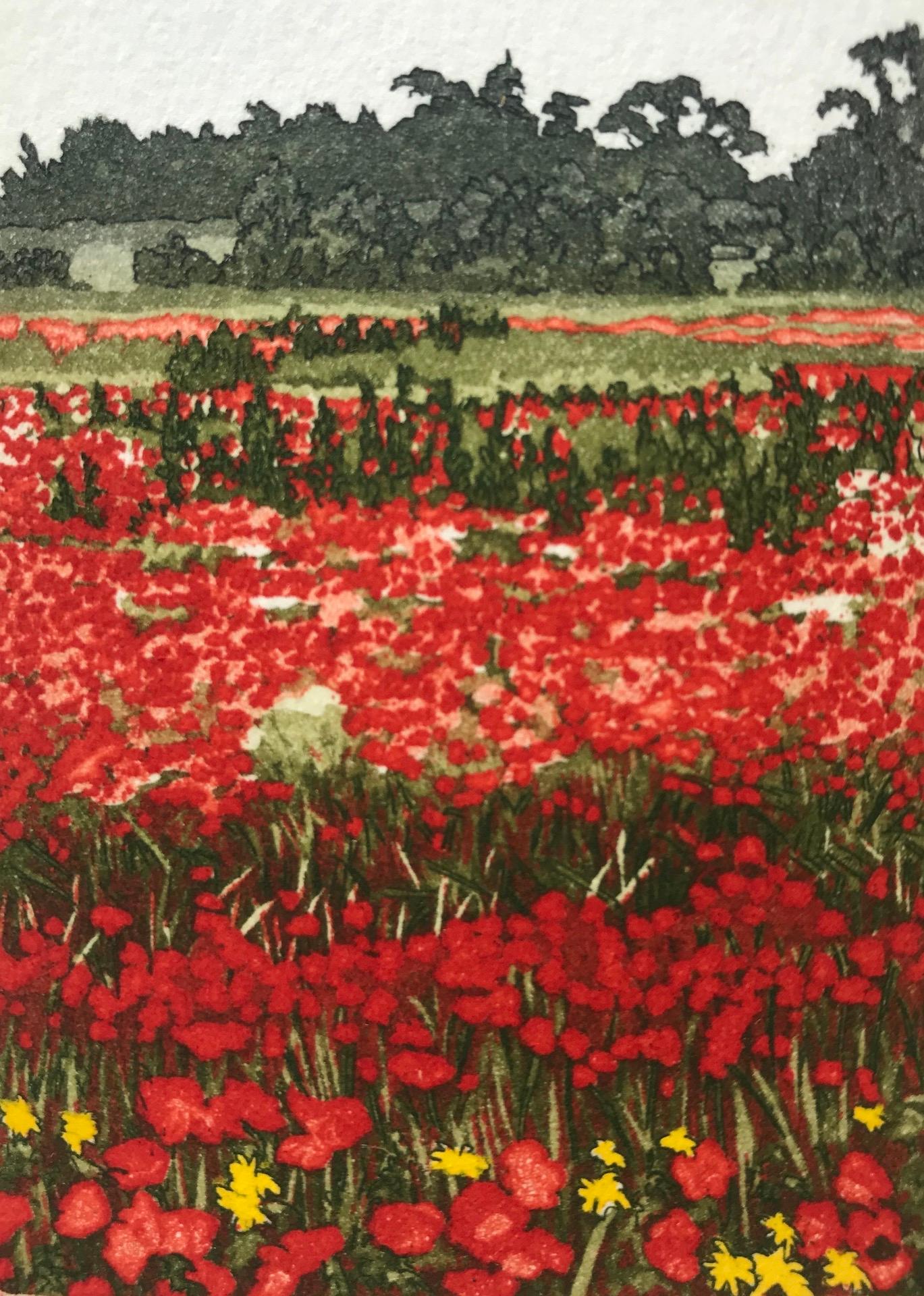 Jan Dingle, Still Blaze, Limited Edition Etching Print, Landscape Art, 