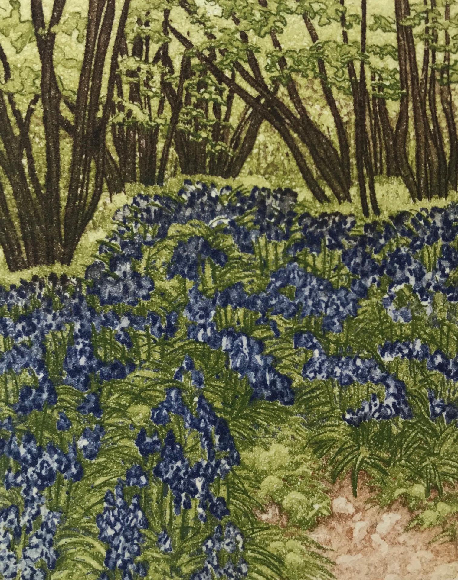 Jan Dingle, Still Bloom, Limited Edition Etching Print, Woodland Art, Art Online