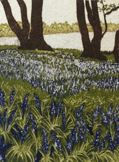 Jan Dingle, Still Shade, Limited Edition Etching Print, Woodland Art, Art Online
