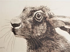 Will Taylor, Archimedes’ Hare, Animal Art, Affordable Art, Art Online