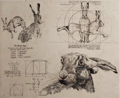 Will Taylor, The Vitruvian Hare, Affordable Art, Animal Art, Art Online