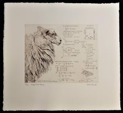 Will Taylor, Sheep Field Theory, Animal Art, Affordable Art, Art Online