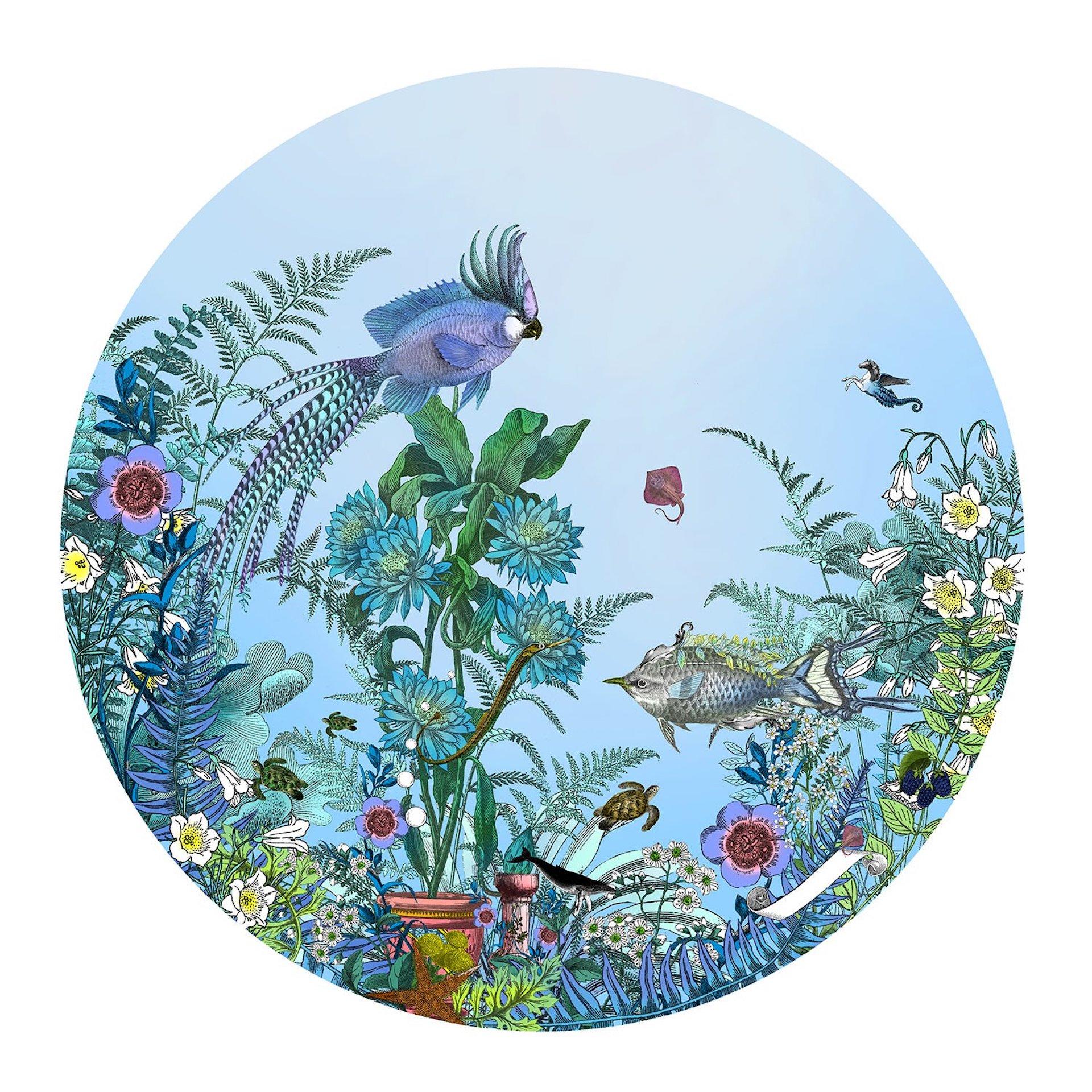Kristjana Williams, Fugl Ne Fiskur - Circular Sea-Born, Seascape Art, Animal Art