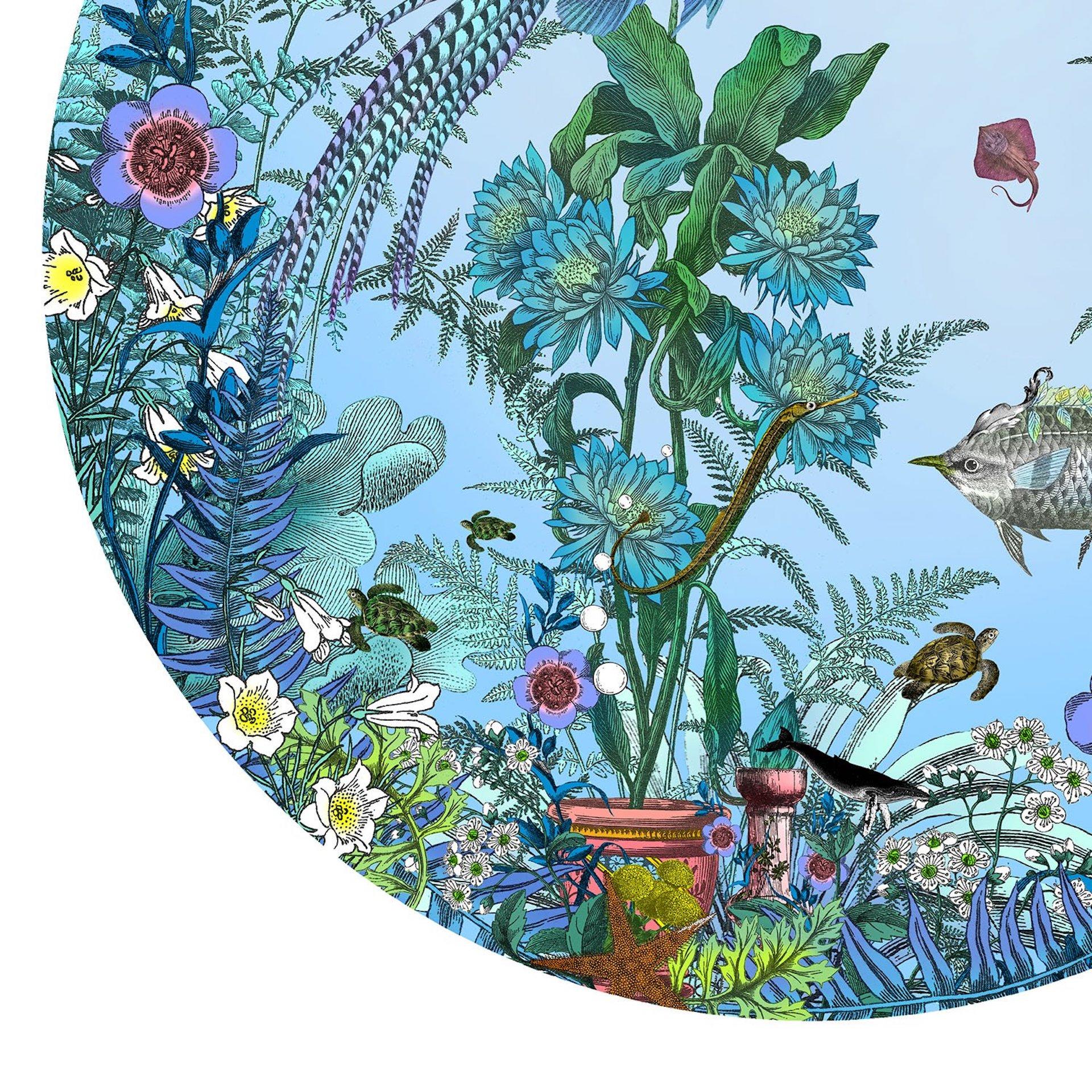 Kristjana Williams, Fugl Ne Fiskur - Nacido en el mar circular, Arte marino, Arte animal en venta 2