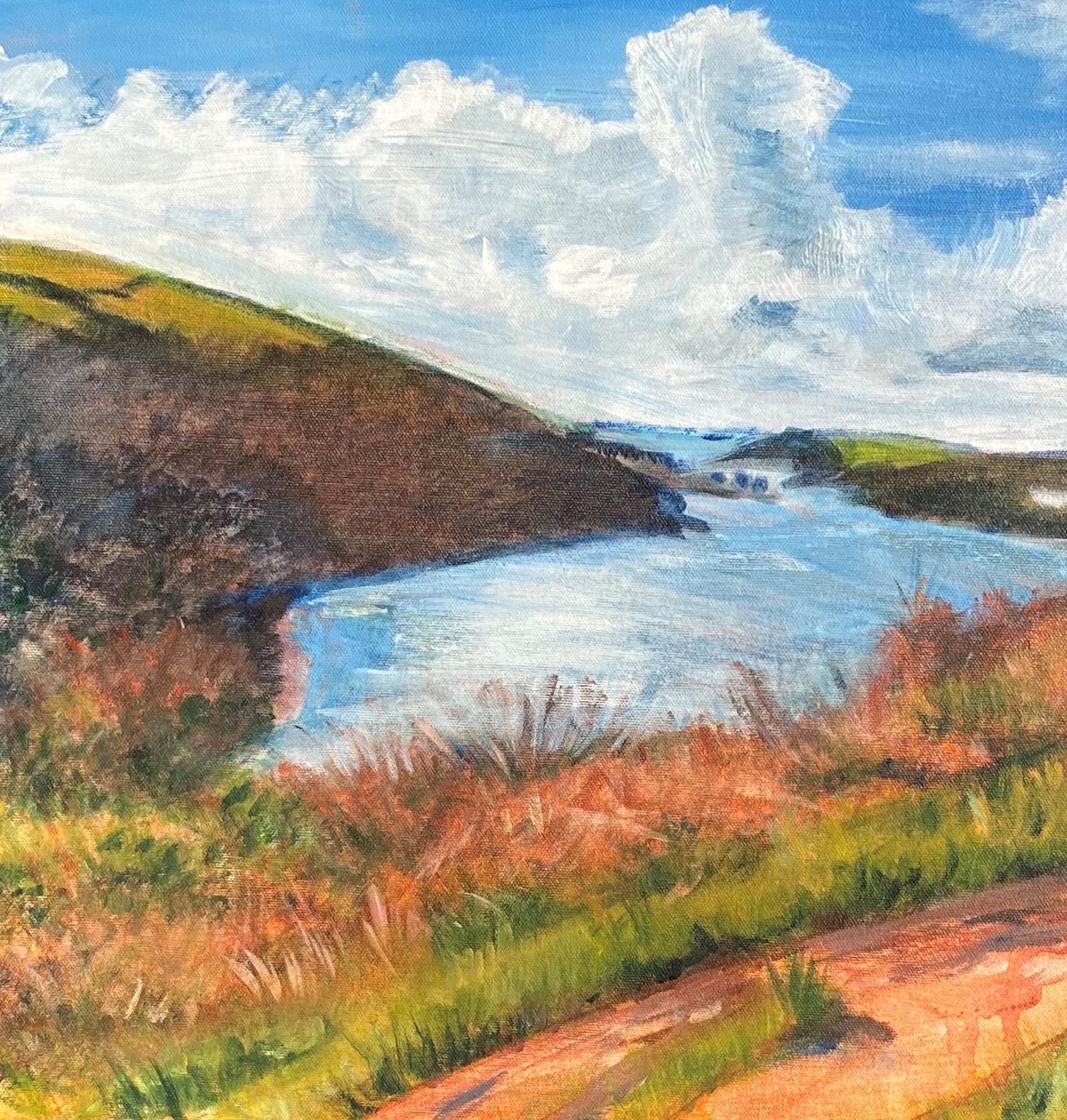 Peri Taylor, Coastal Walk Overlooking Fowey Estuary, Landschaftskunst, Kunst Online