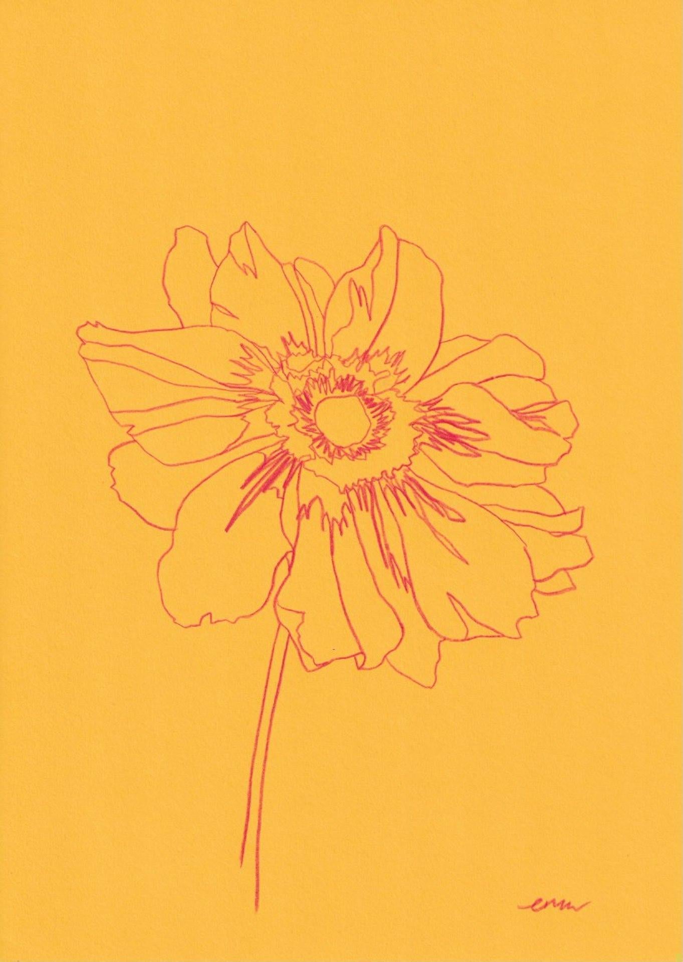 Ellen Williams, Anemone II, Originalzeichnung, Blumenkunst, zeitgenössische Kunst