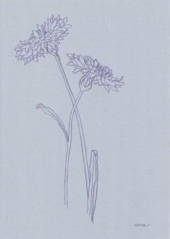 Ellen Williams, Cornflower I, Original Drawing, Affordable Art, Minimalist Art