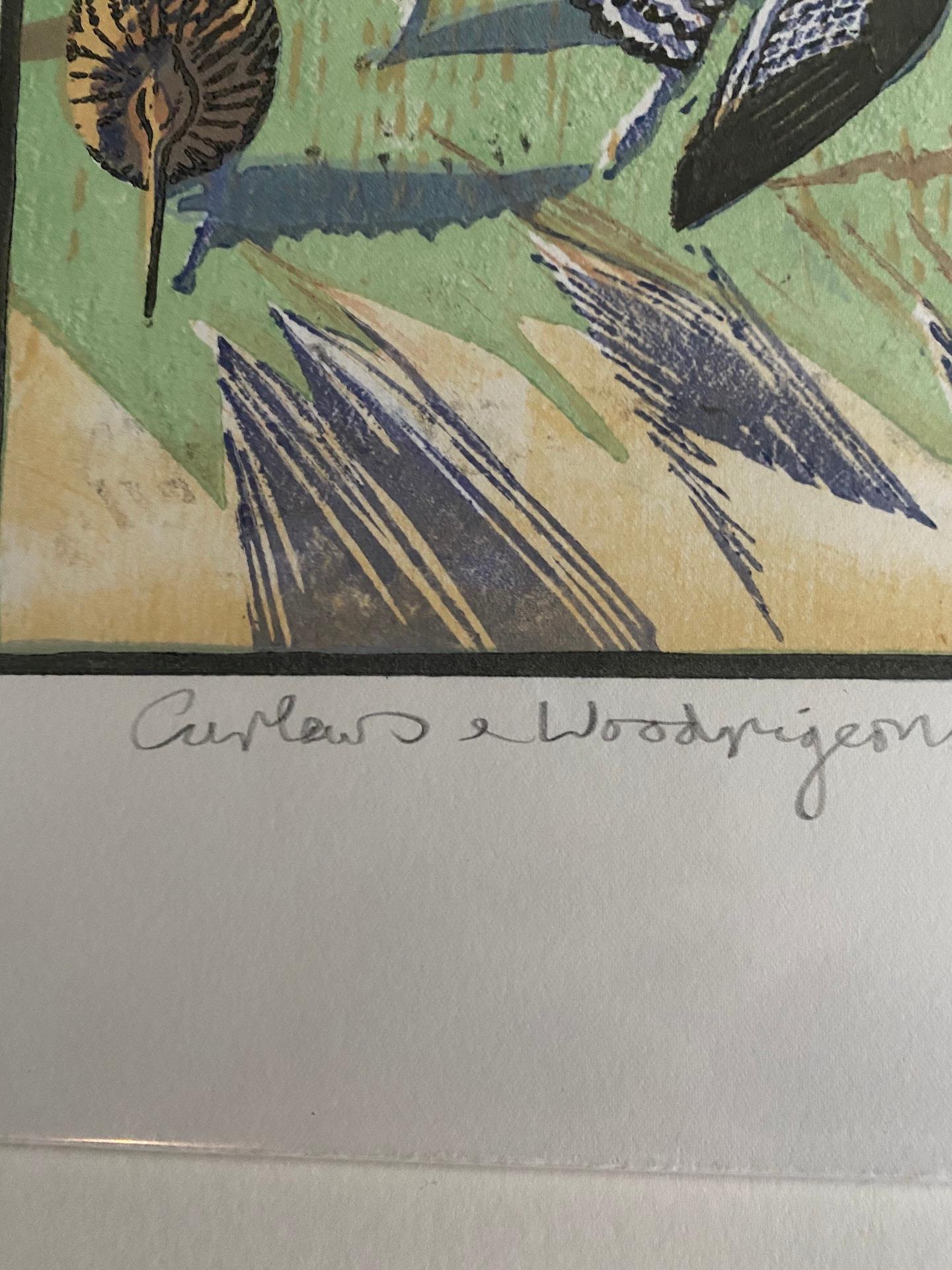 Robert Greenhalf, Curlews and Woodpigeons, estampe en édition limitée, Art des oiseaux en vente 4