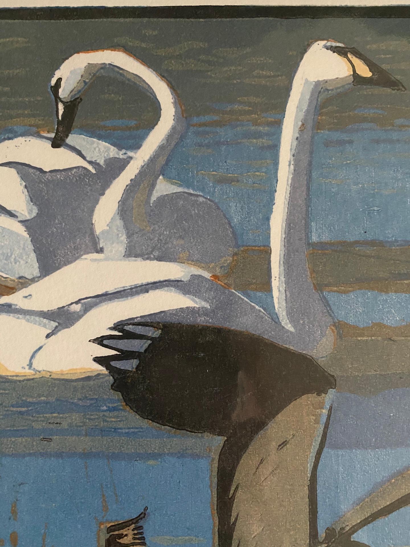 Robert Greenhalf, Berwick’s Swans and Lapwings, Limited Edition Print, Bird Art For Sale 3