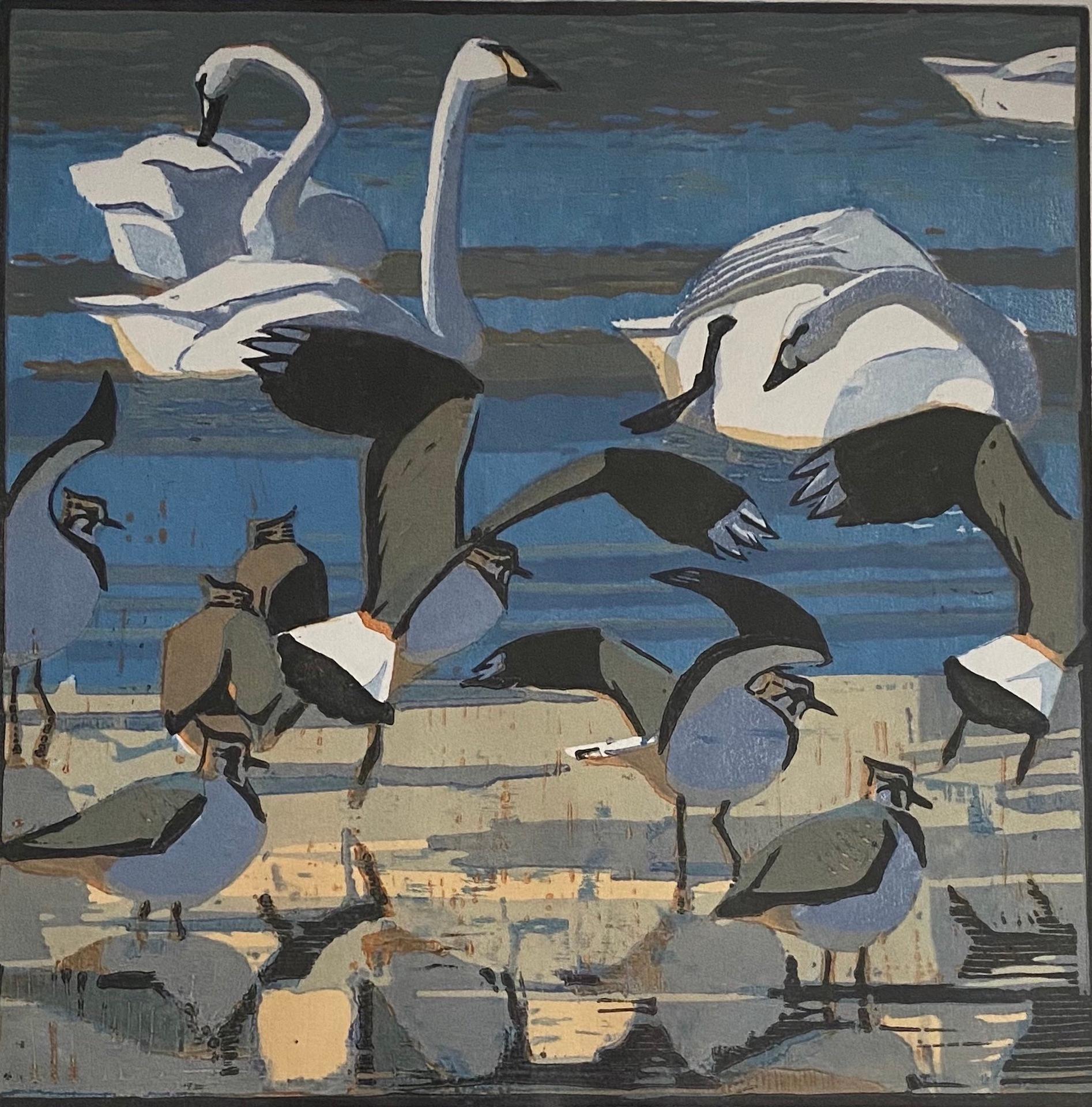 Robert Greenhalf, Berwick’s Swans and Lapwings, Limited Edition Print, Bird Art