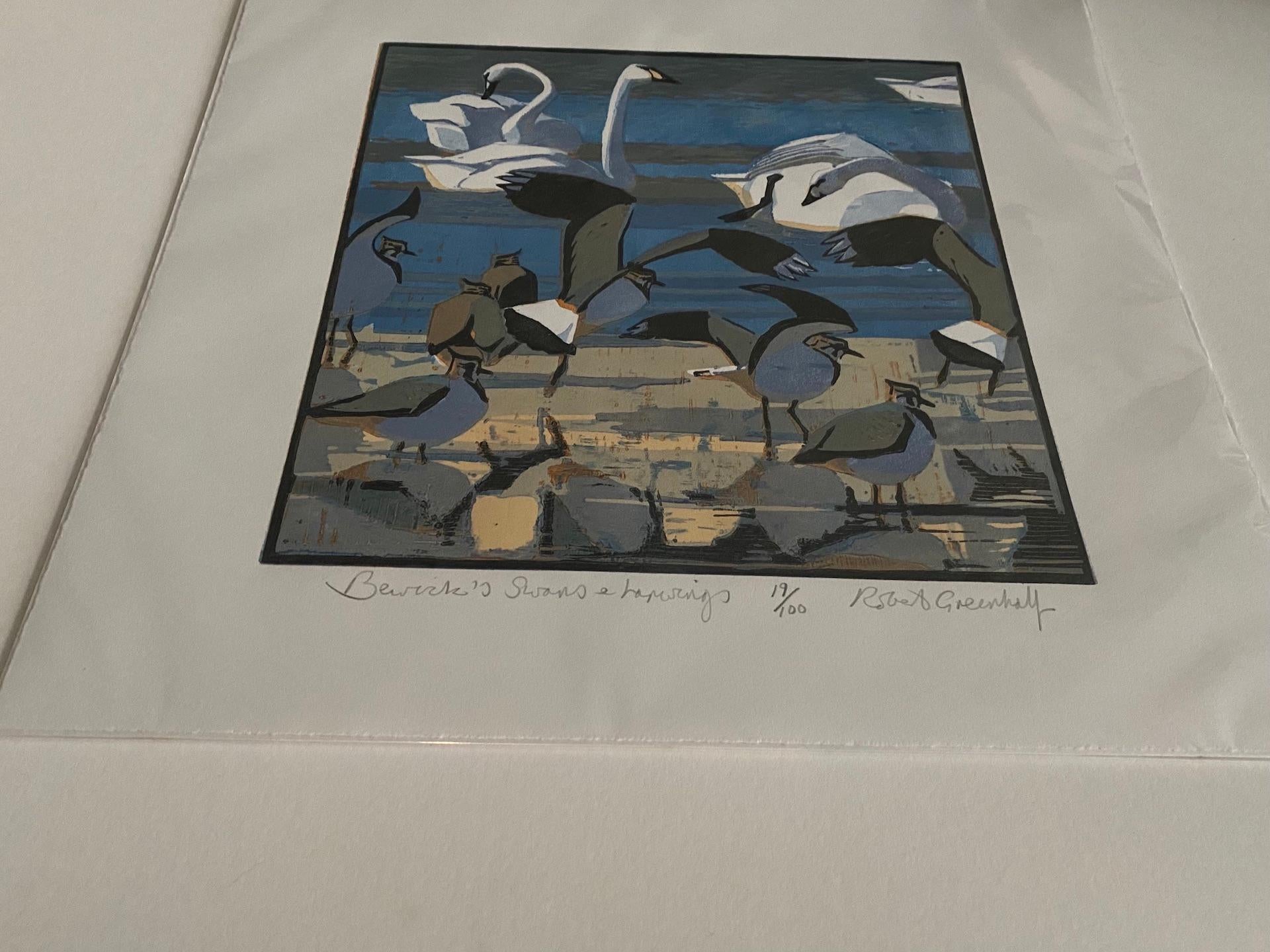 Robert Greenhalf, Berwick’s Swans and Lapwings, Limited Edition Print, Bird Art For Sale 5
