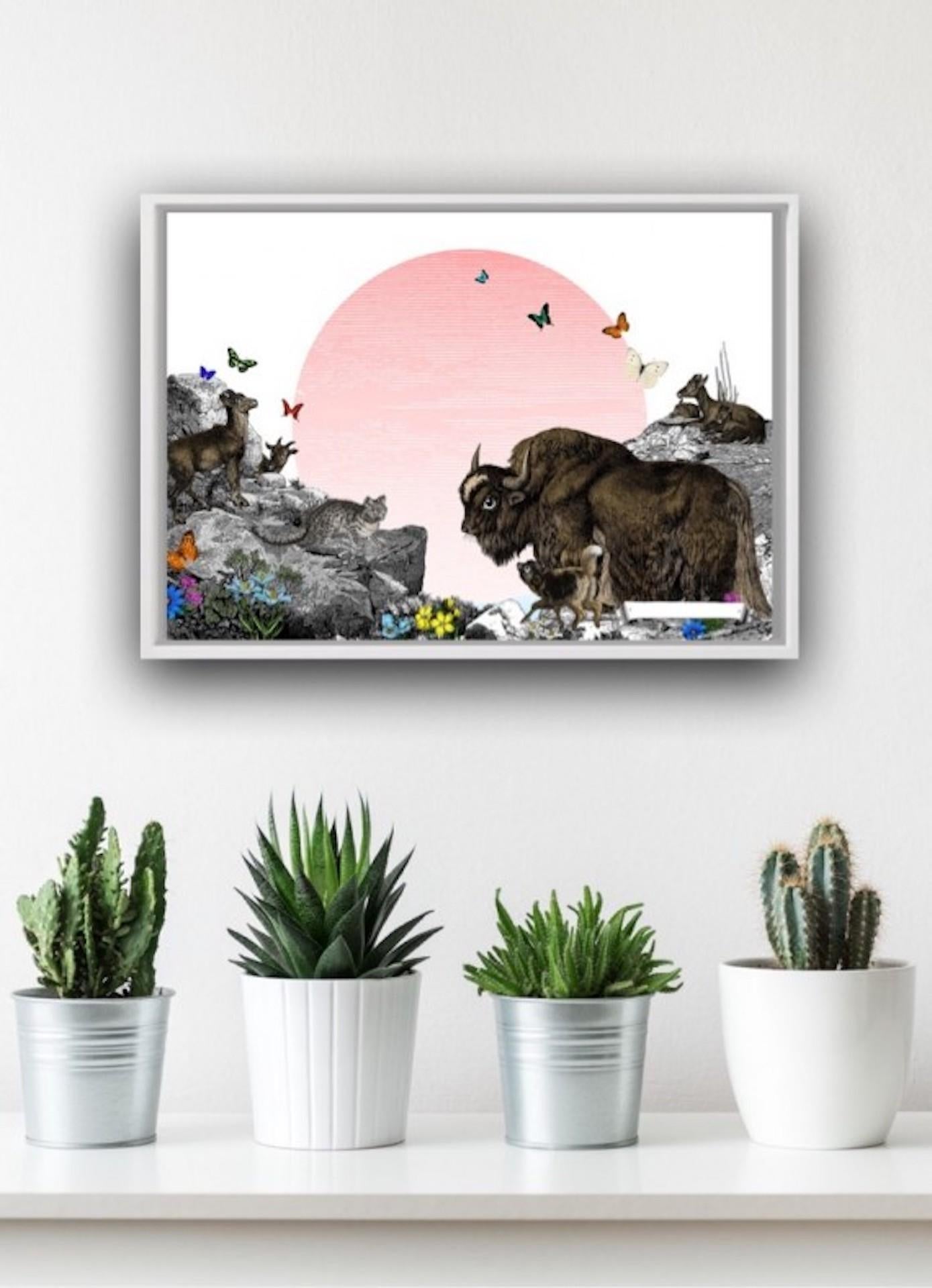 Kristjana Williams, The Himalayan Mountains – Pink Sun, Contemporary Animal Art 7