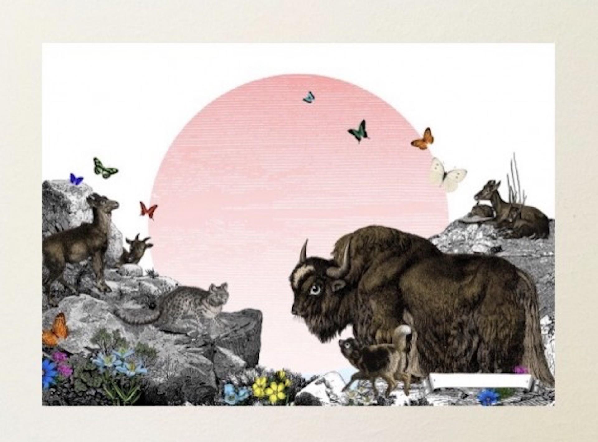 Kristjana Williams, The Himalayan Mountains – Pink Sun, Contemporary Animal Art 3