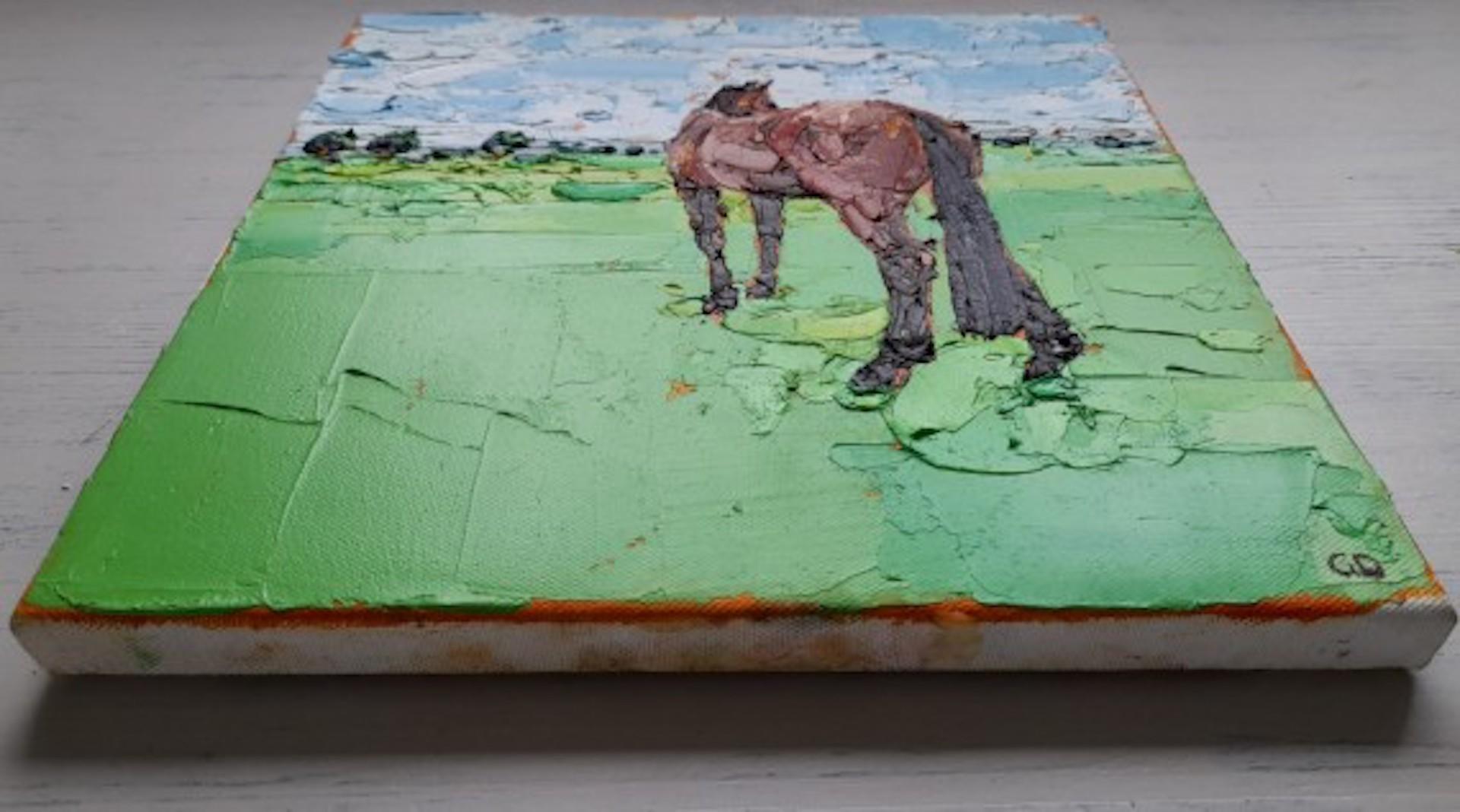 Georgie Dowling, Gazing Horse, Horse Painting, Original Painting, Affordable Art 3
