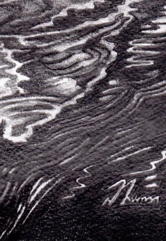 David Truman, Beauty & Reflection, Original Artwork, Swan Art, Bird Drawings