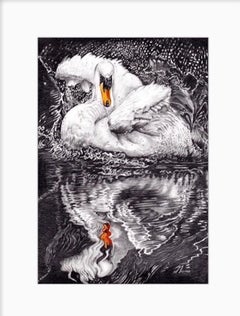 David Truman, Beauty & Reflection, uvre d'art originale, Art du cygne, dessins d'oiseaux