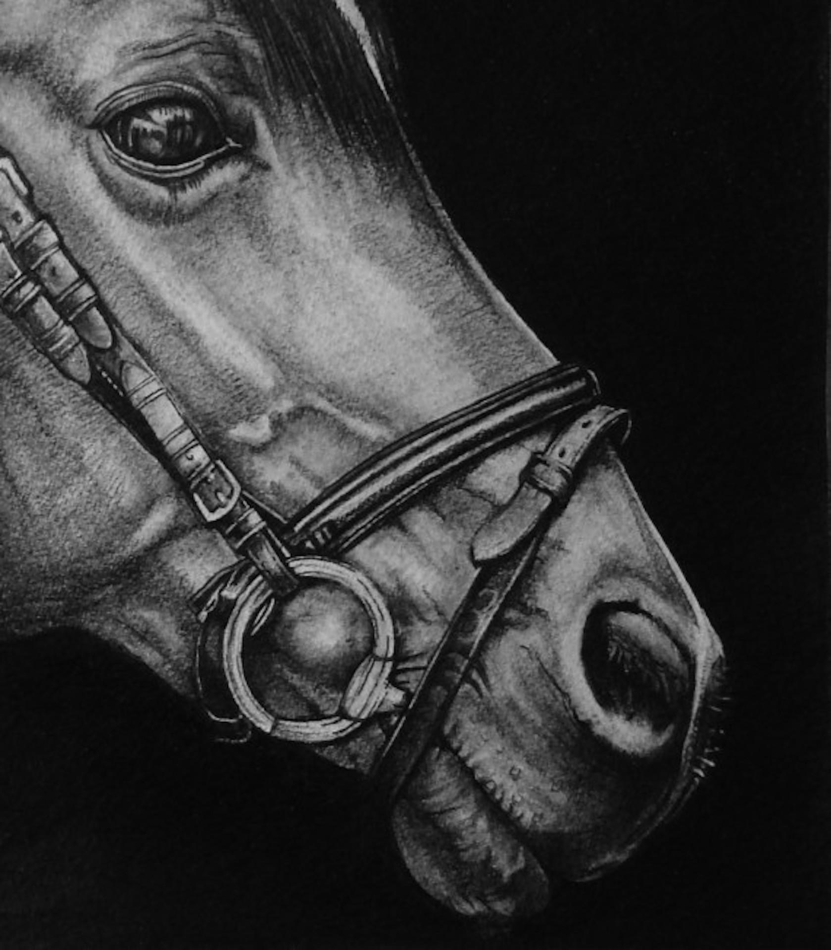 David Truman, Out of Darkness, Horse Art, Original Drawing, Equestrian Art For Sale 1