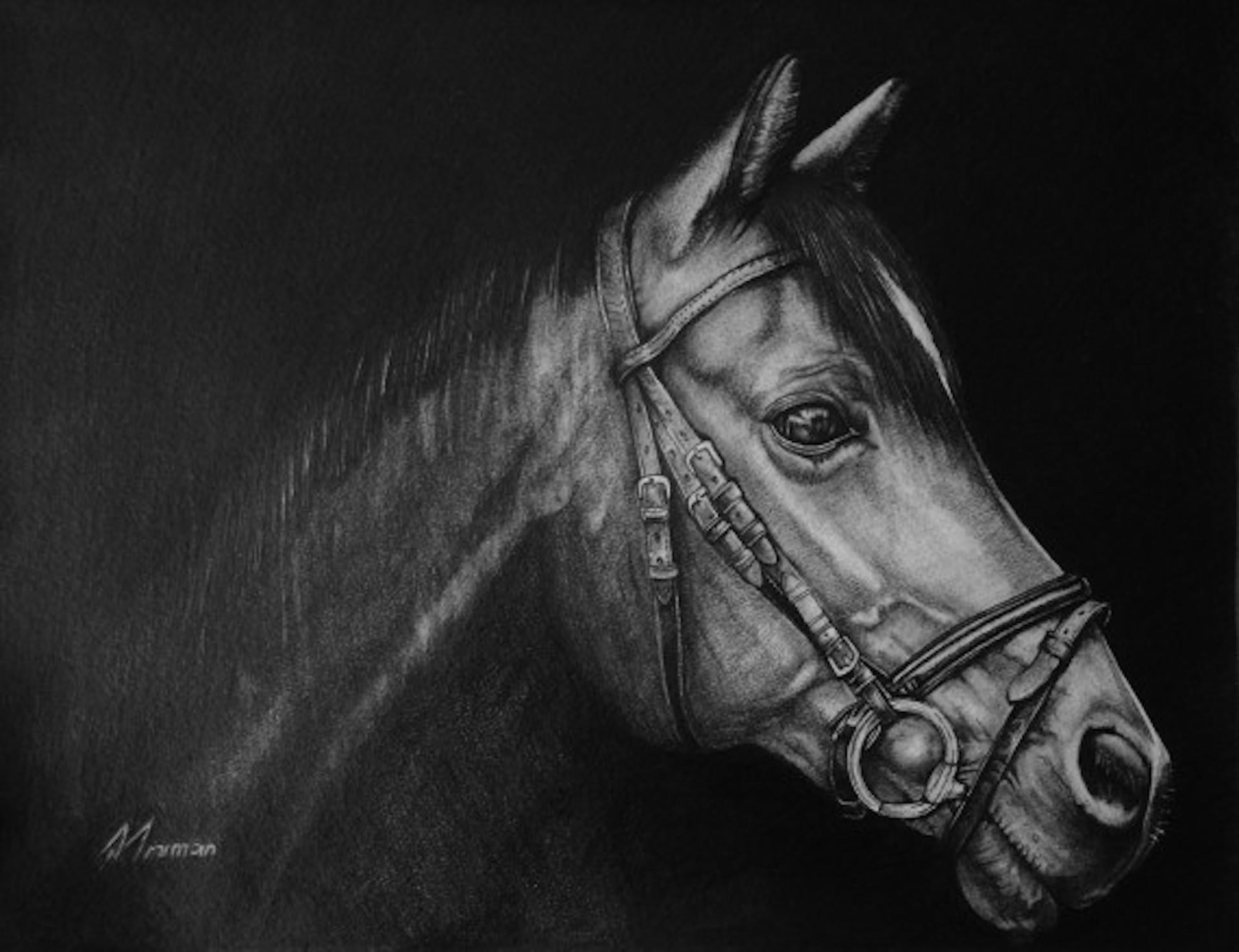 David Truman, Out of Darkness, Horse Art, Original Drawing, Equestrian Art