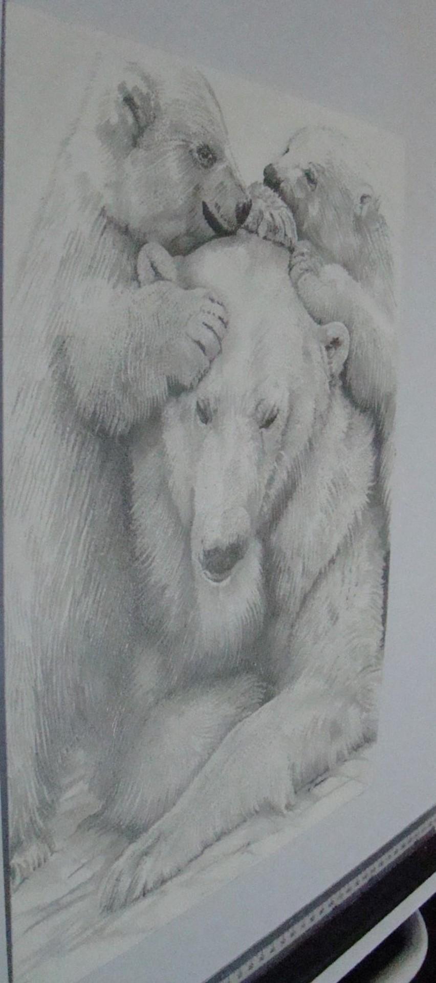 David Truman, Polar Bear Family, Animal Art, Original Drawing For Sale 1