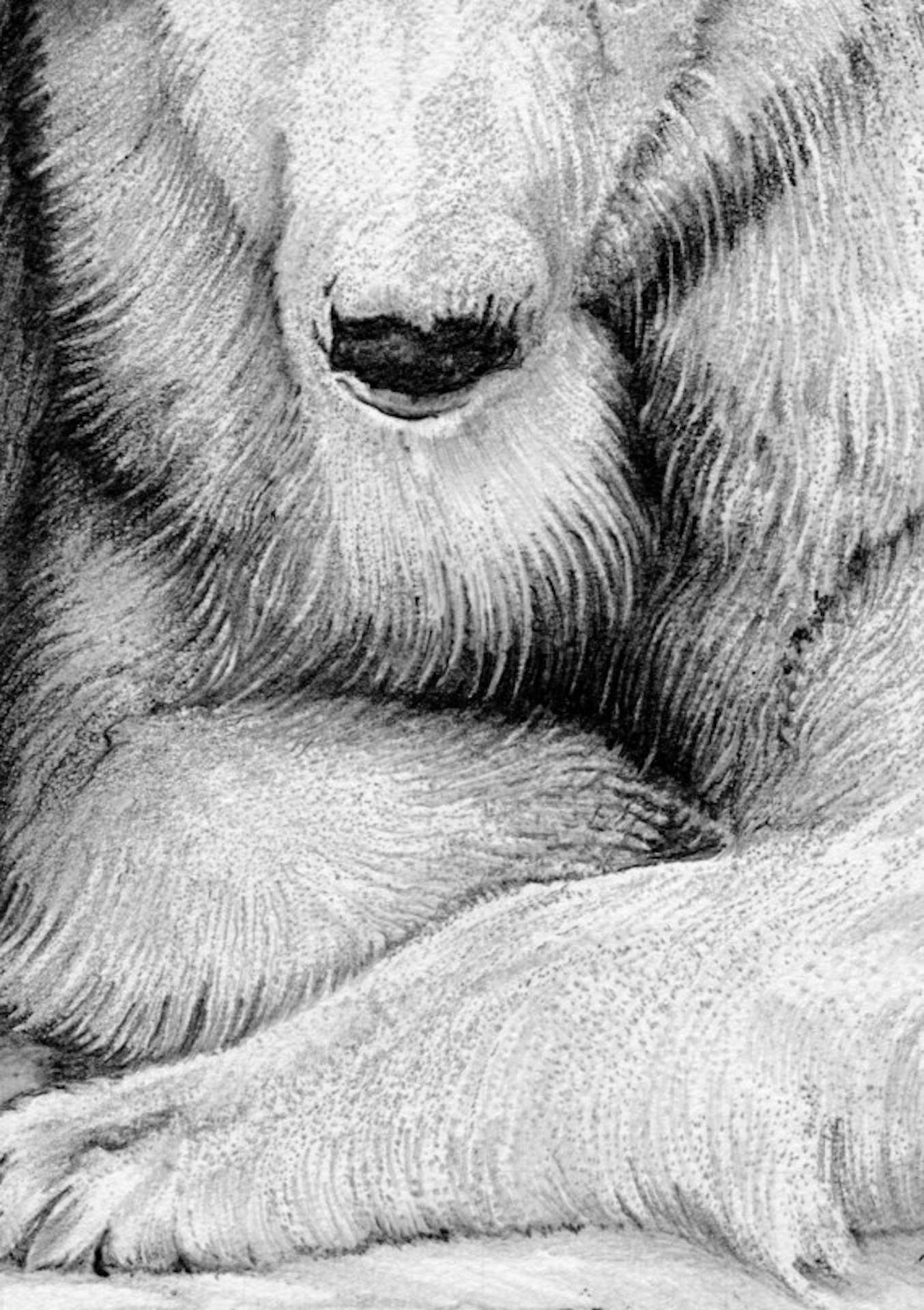 Polar Bear Family [2017]
Original
Figurative
Graphite on paper
Image size: H:43.1 cm x W:30.5 cm
Complete Size of Unframed Work: H:43.1 cm x W:30.5 cm x D:0.2cm
Sold Unframed
Please note that insitu images are purely an indication of how a piece may