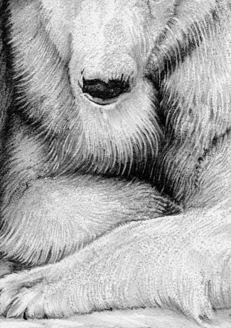 David Truman, Polar Bear Family, Animal Art, Original Drawing For Sale 3
