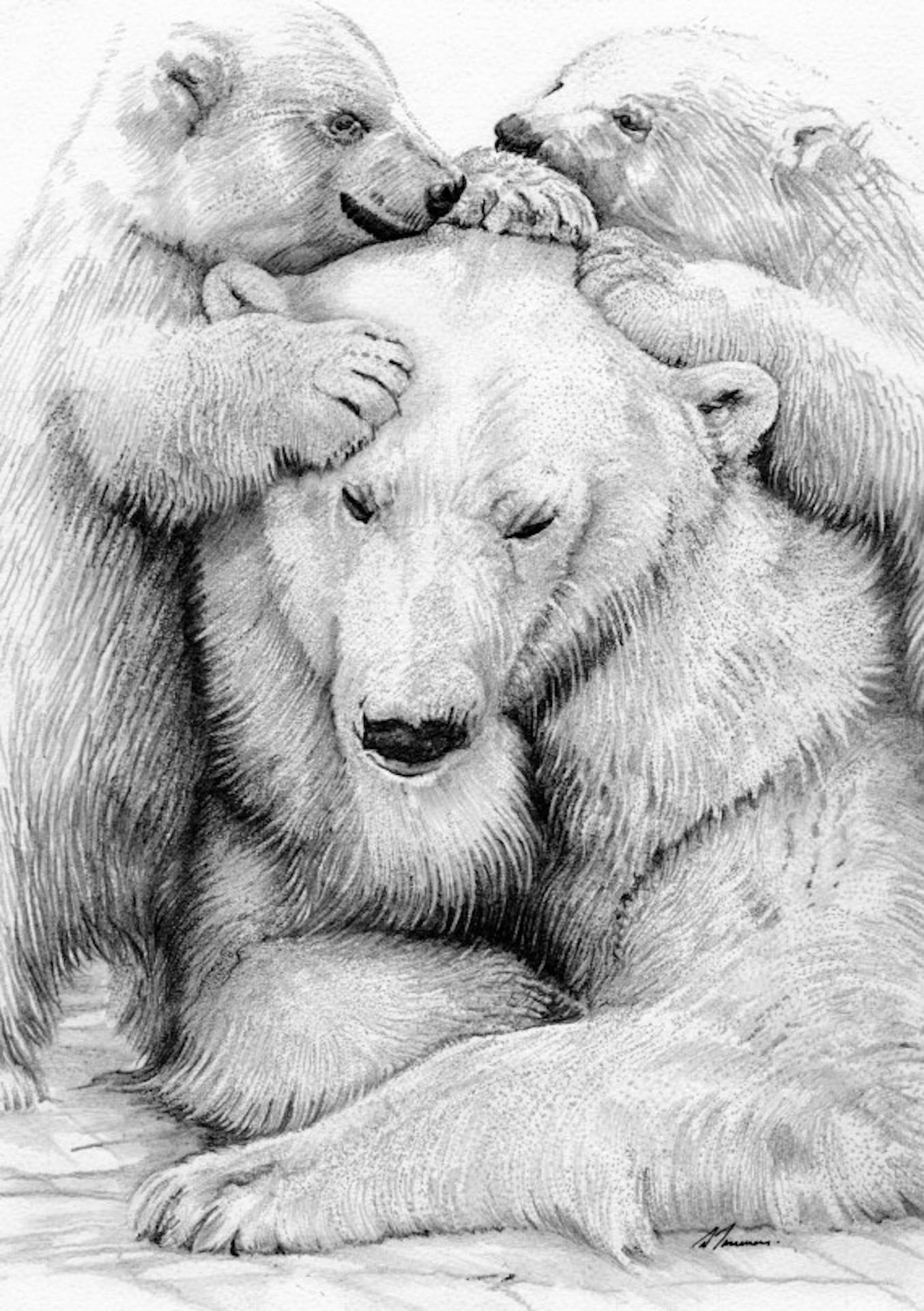 David Truman, Polar Bear Family, Animal Art, Original Drawing