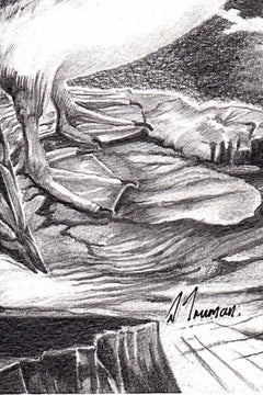 David Truman, Puffins, Original Animal Drawing, Bempton Cliffs Art