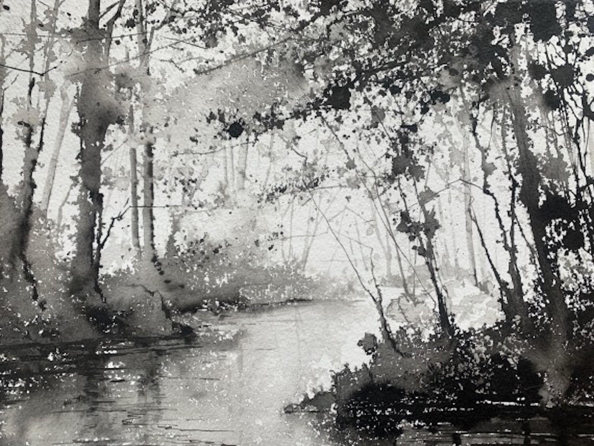 James Bonstow, Approaching River Dart I, Original Woodland Art, Affordable Art