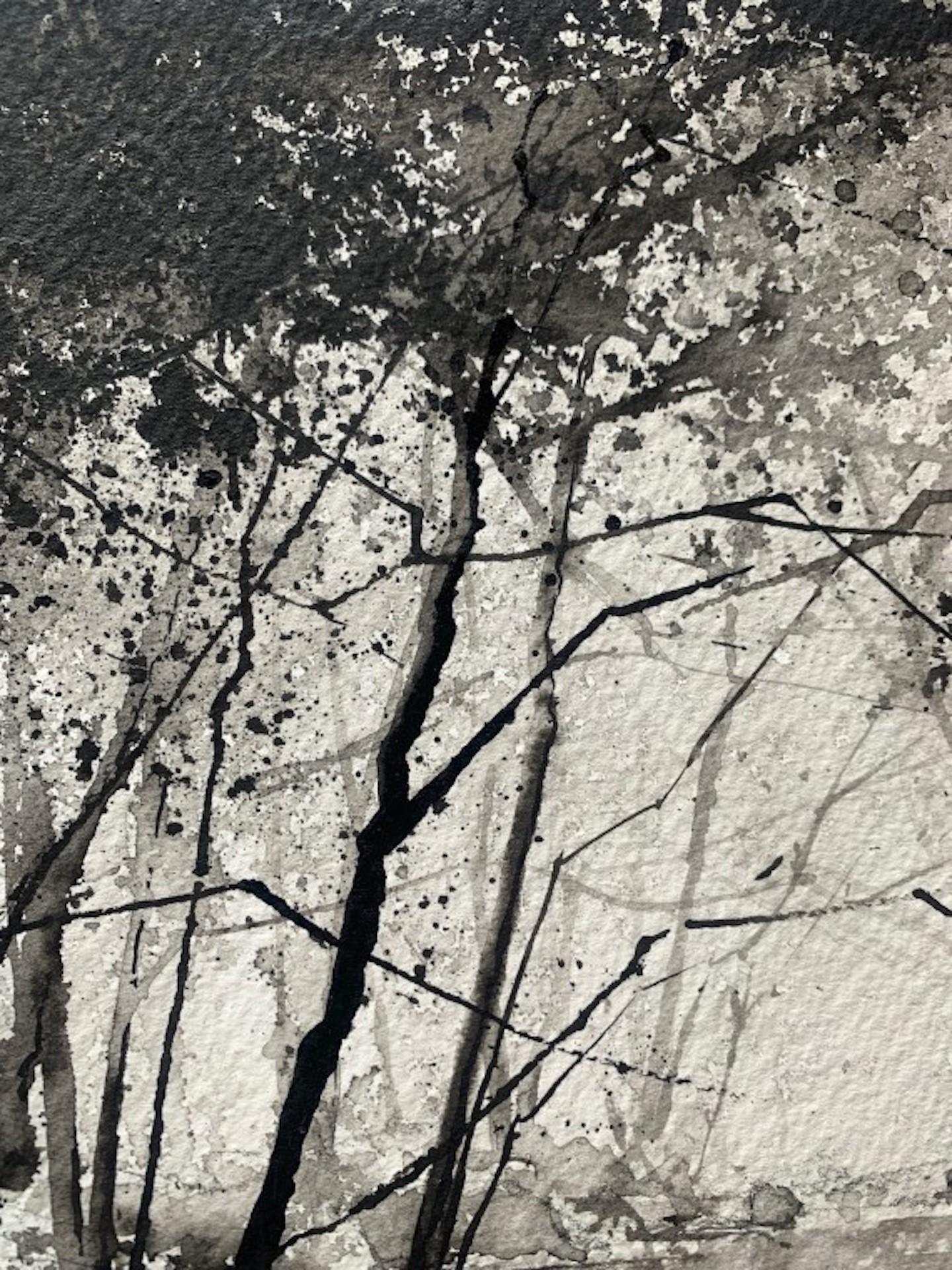James Bonstow, Approaching River Dart II, Original Woodland Landscape Art For Sale 3