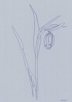 Snakes Head Fritillary, Ellen Williams, Original Drawing, Floral Still Life Art