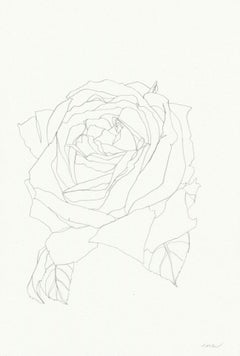 Rose 19, Ellen Williams, Original Drawing, Affordable Artwork, Floral Still Life