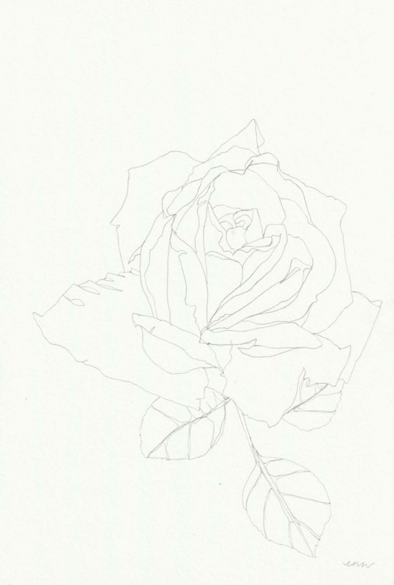 Rose 18, Ellen Williams, Original-Bleistiftzeichnung, geblümtes Stillleben, erschwinglich