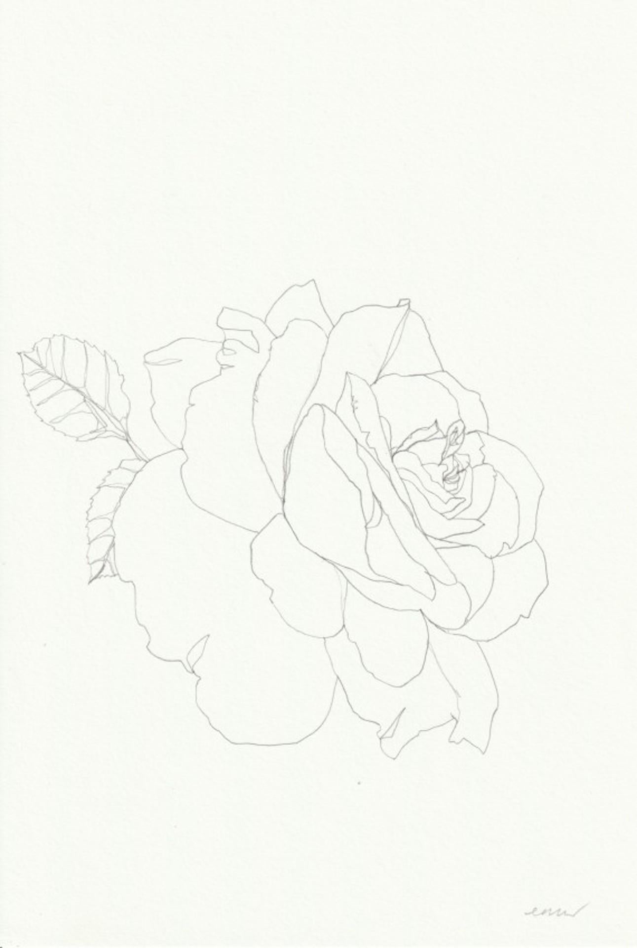 Elle Rose 17, dessin original d'Ellen Williams, crayon, nature morte florale, accessible