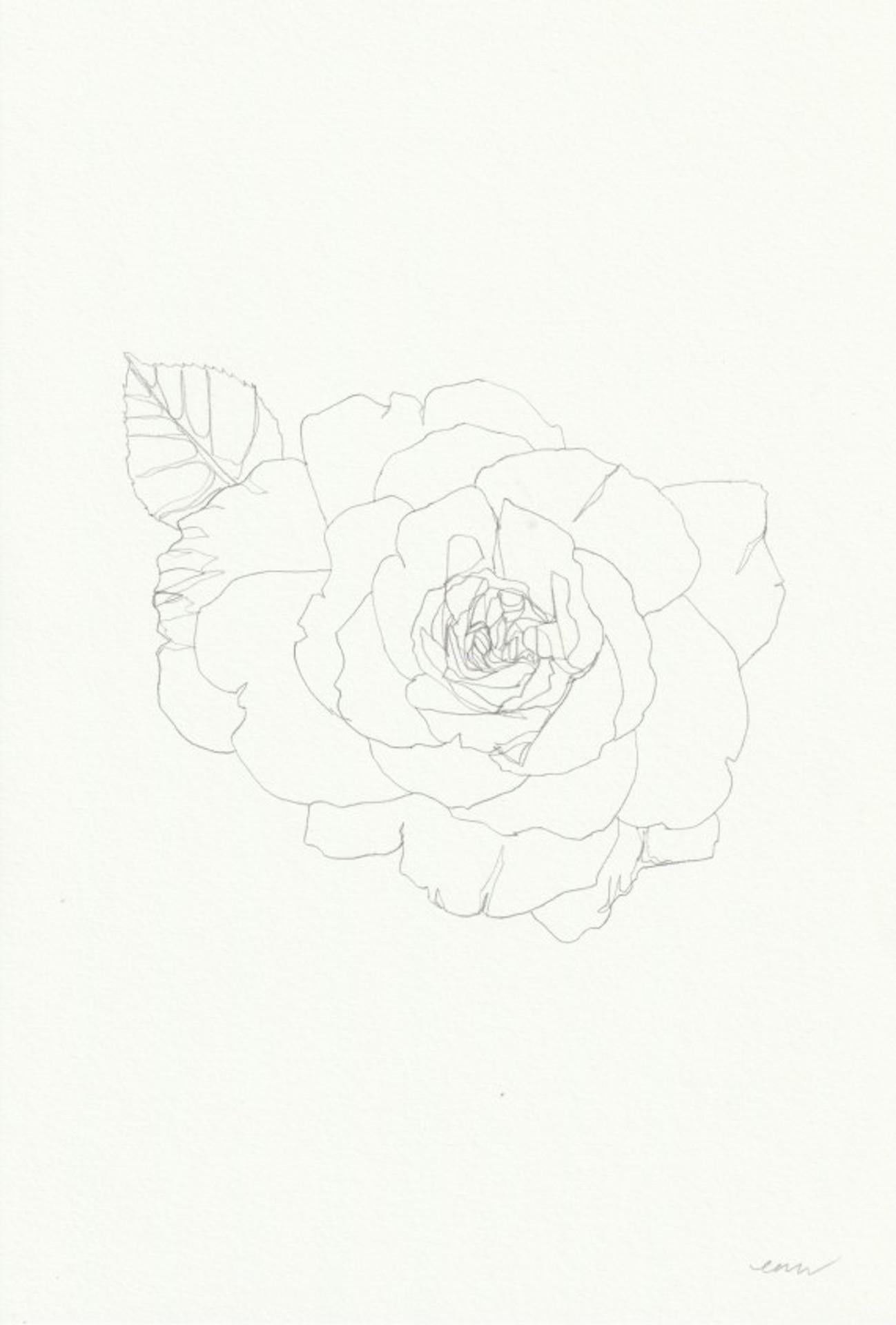 Le tableau Rose 15 d'Ellen Williams, dessin original, nature morte florale, art abordable