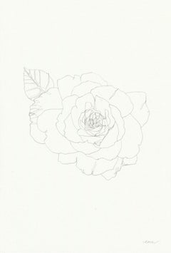 Rose 15, Ellen Williams, Original Drawing, Floral Still Life Art, Affordable Art