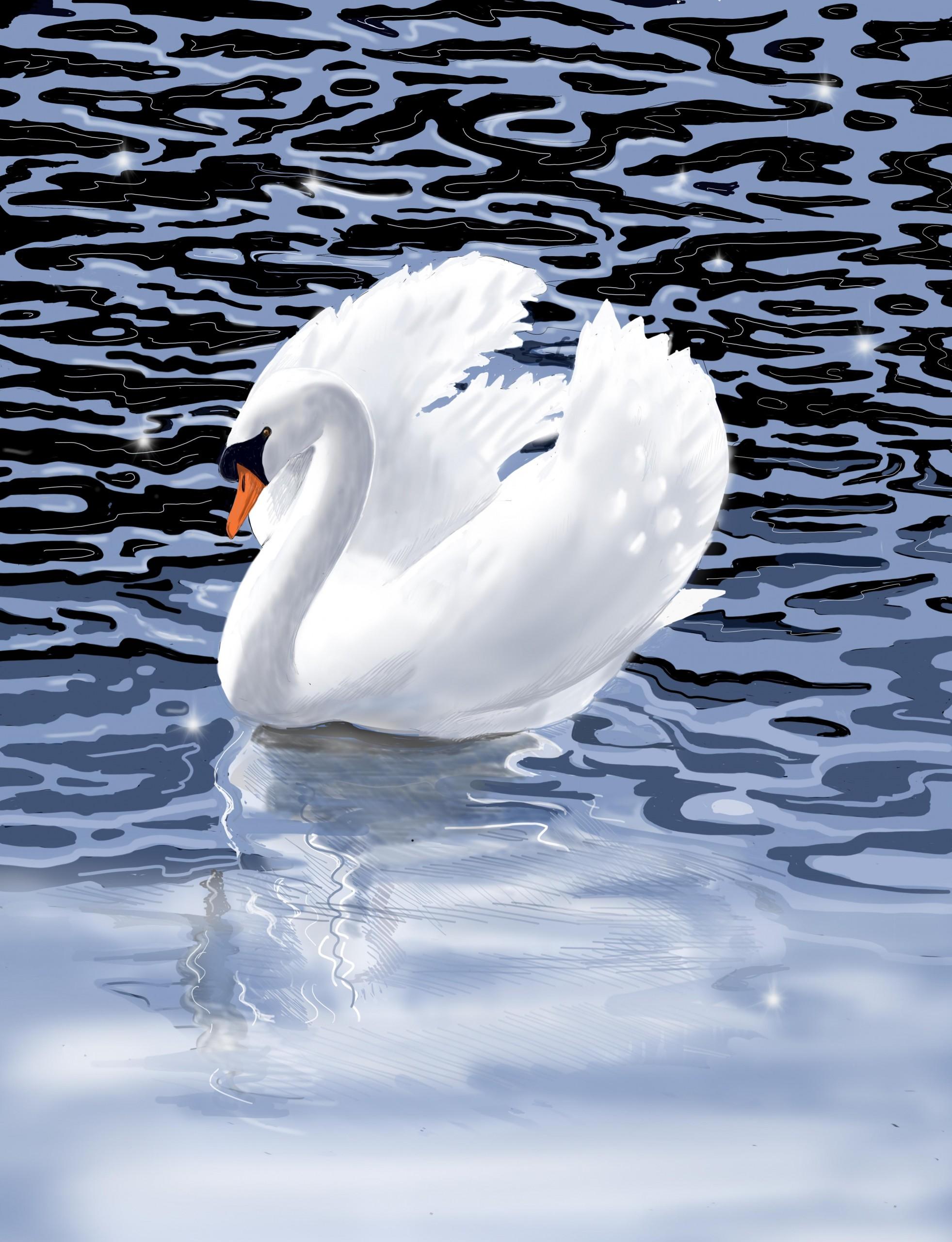 Jane Peart Animal Art - Summer Swan 