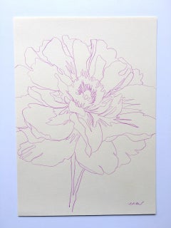 Blooming Peony by Ellen Williams, Contemporary art, Minimalist art, Drawing