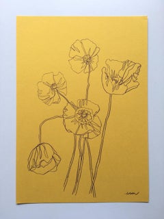 Ellen Williams, dessin original Wild Poppies, dessin minimaliste à vendre