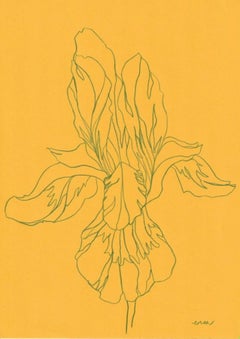 Iris VIII, original work, floral art, contemporary, original drawing, landscape