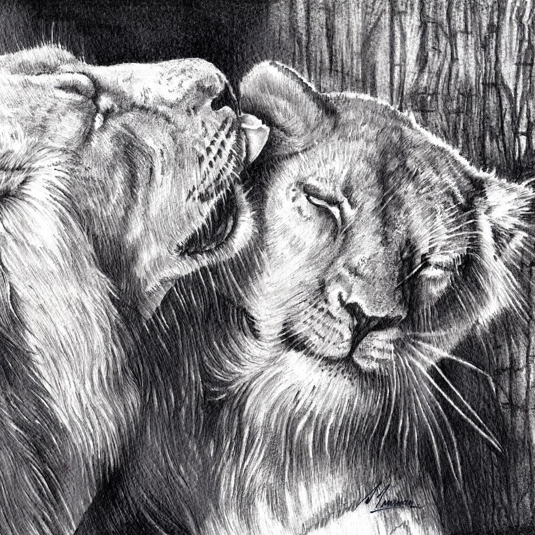 David Truman Landscape Art - Wild Affection, animal art, lion art, original art, affordable art