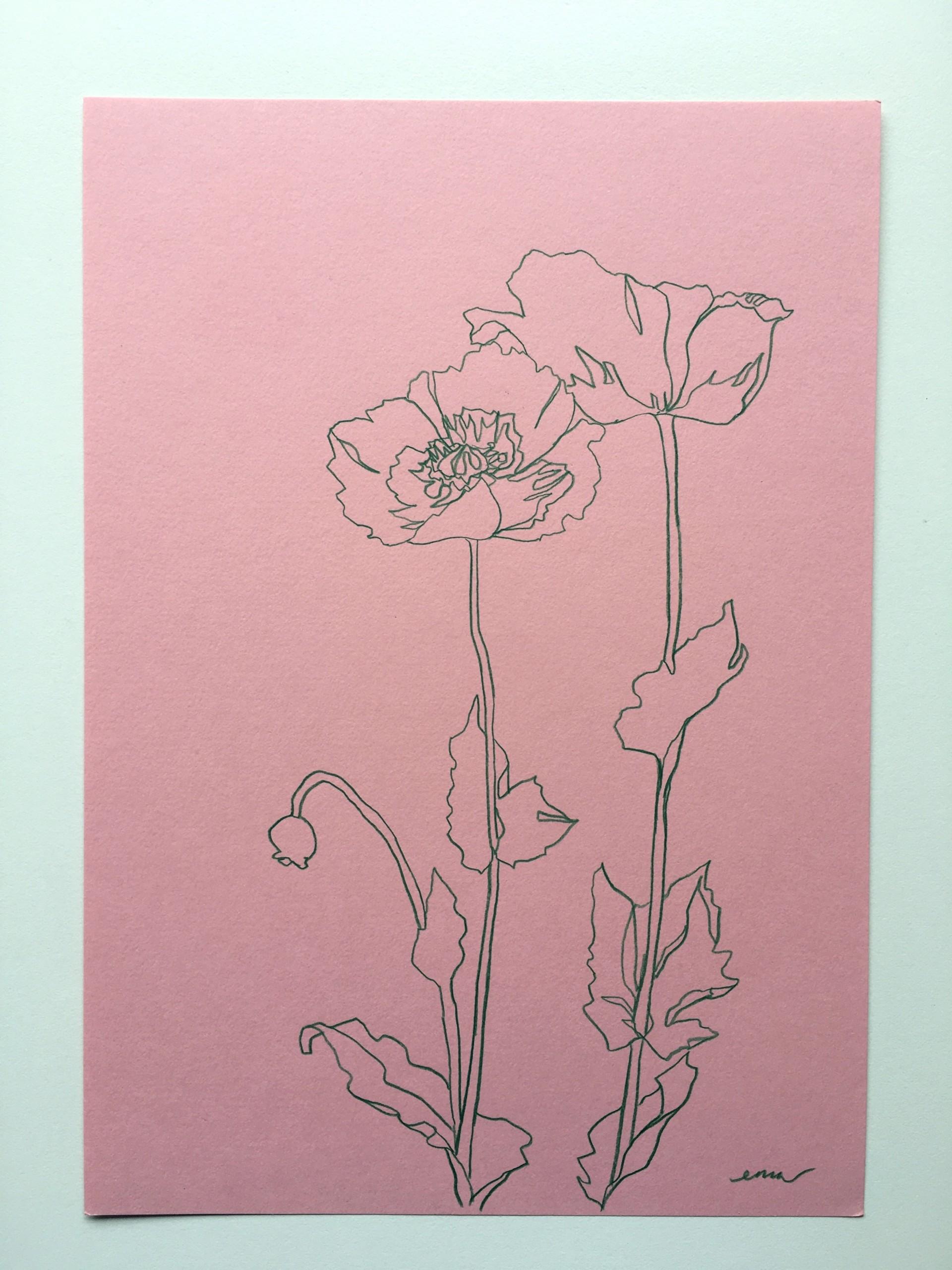 Wild Poppies II, floral art, botanical drawing, original art, affordable art For Sale 1