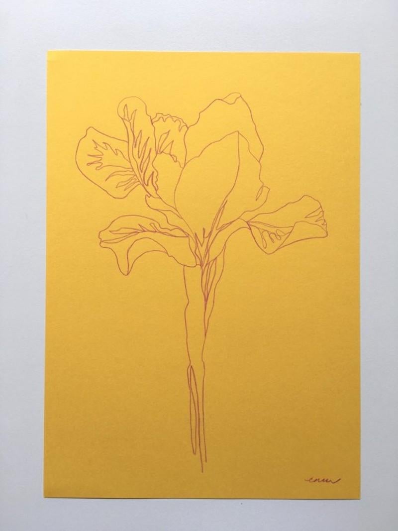 Spring Iris, floral art, landscape drawing, still-life, affordable art