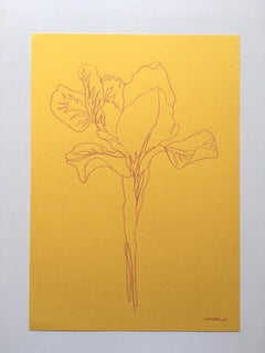 Spring Iris, floral art, landscape drawing, still-life, affordable art