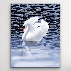Cygne d'été