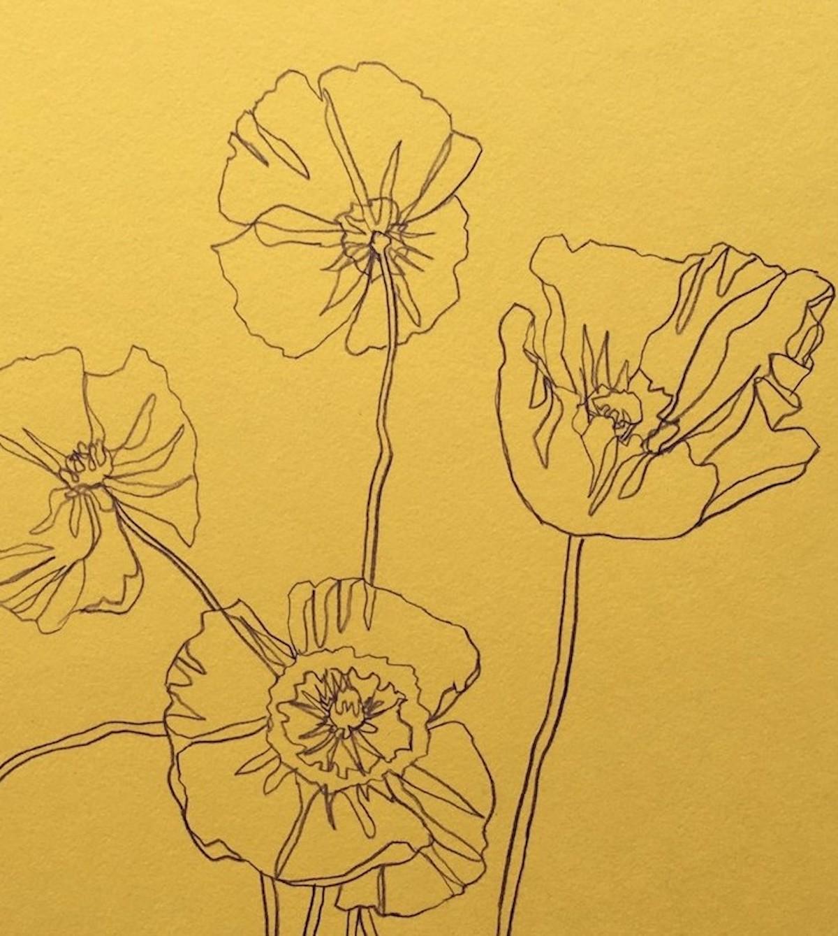 Wild Poppies, Ellen Williams, Original drawing, minimalist drawing for sale - Yellow Landscape Art by Ellen Williams 