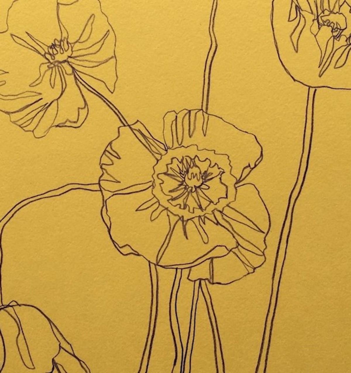 Wild Poppies, Ellen Williams, Originalzeichnung, minimalistische Zeichnung, zum Verkauf im Angebot 1